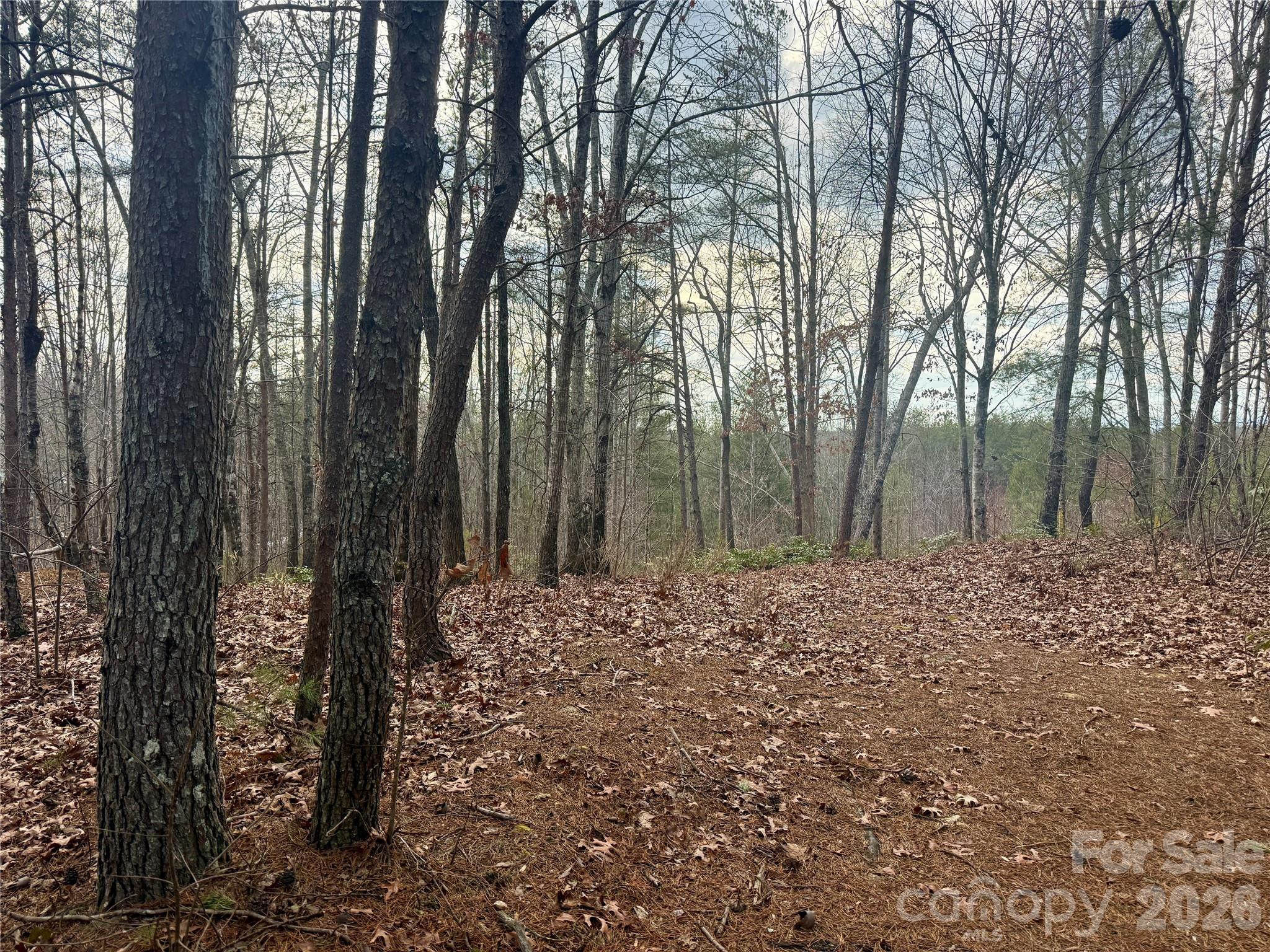 913 High Valley Way 913