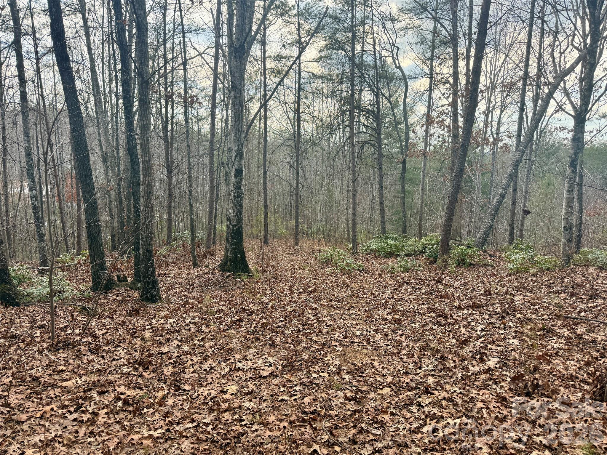 913 High Valley Way 913