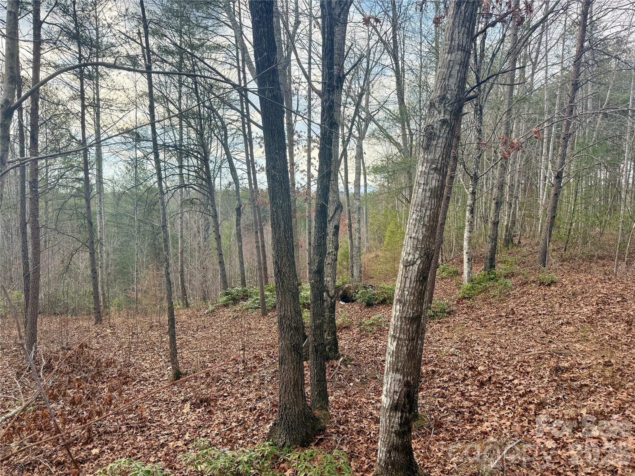 The Coves Mountain River Club - Land