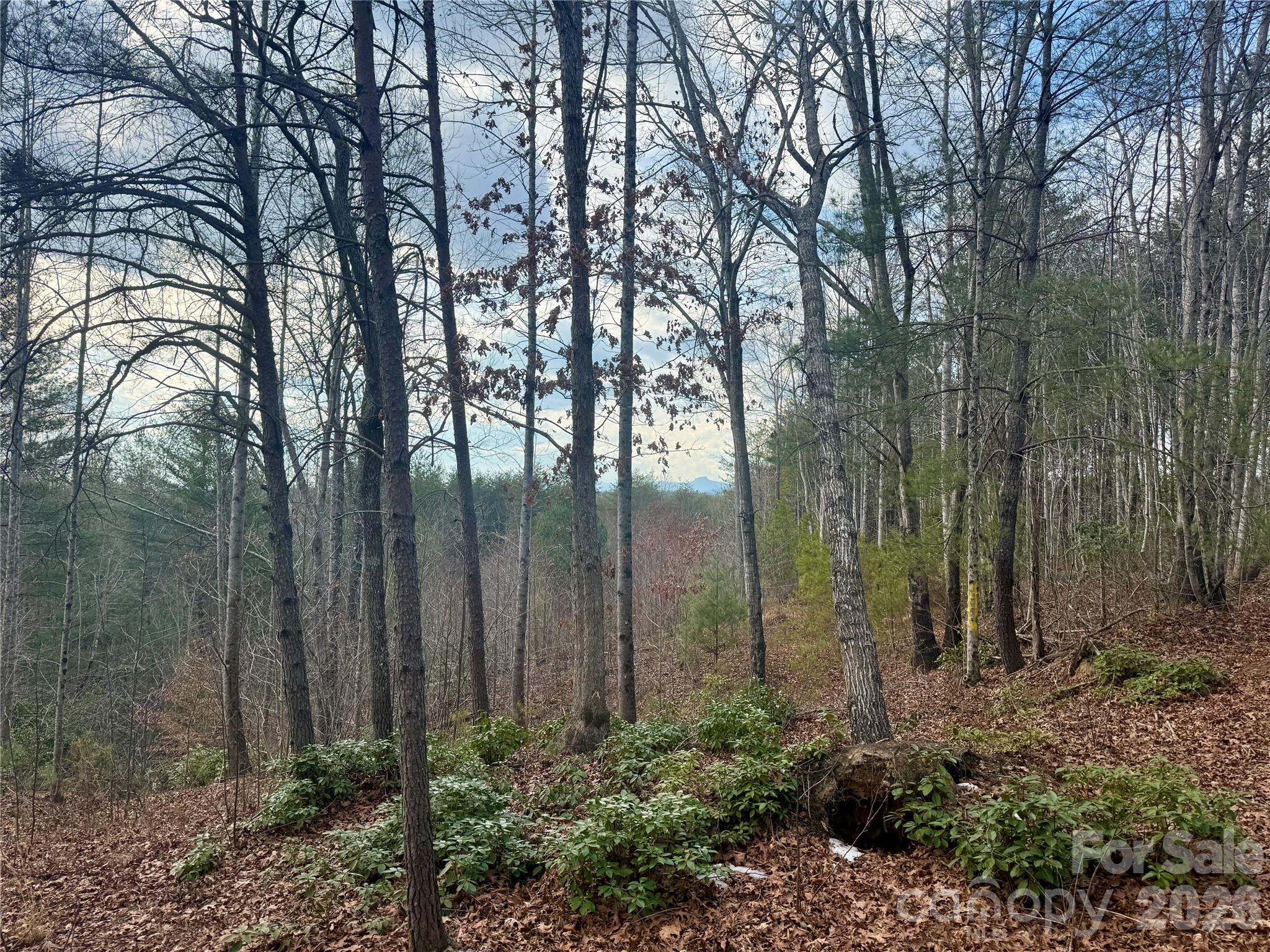 The Coves Mountain River Club - Land