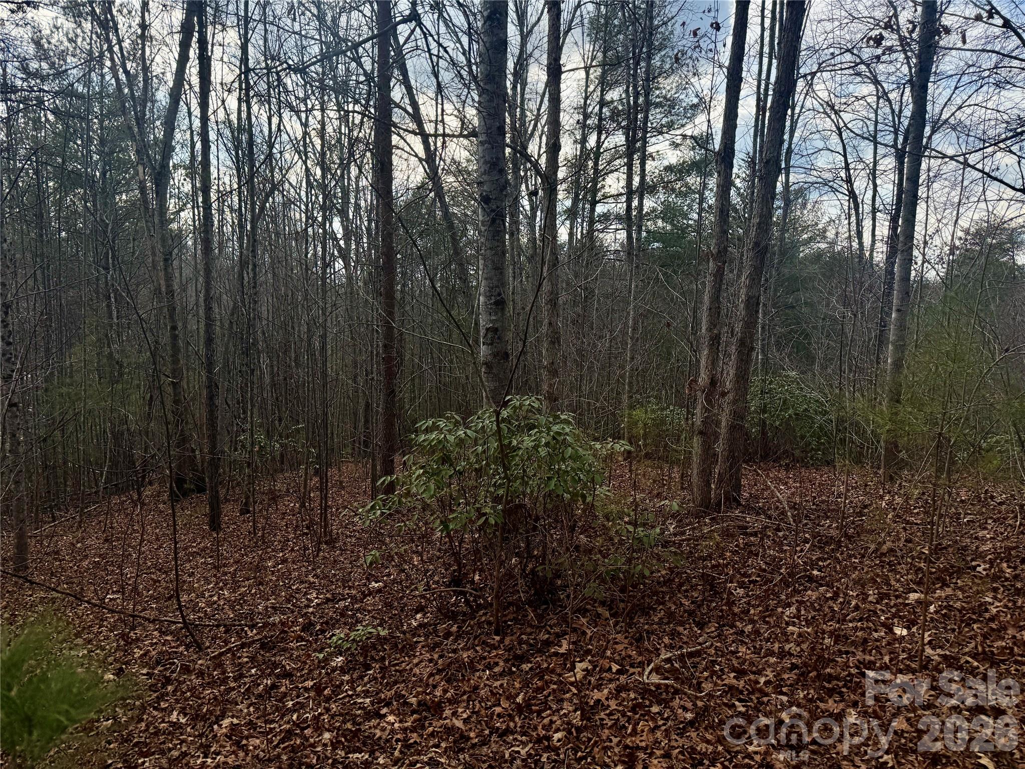 The Coves Mountain River Club - Land