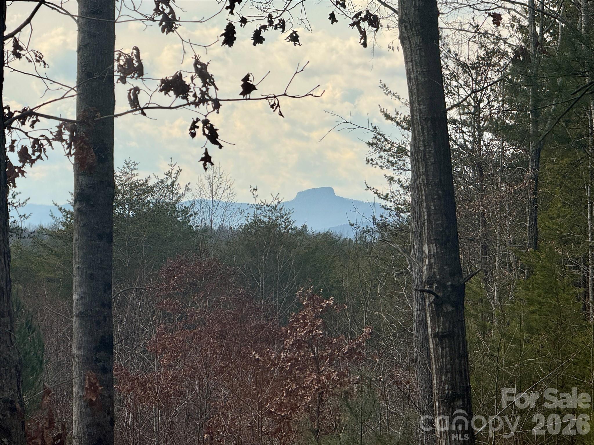 The Coves Mountain River Club - Land