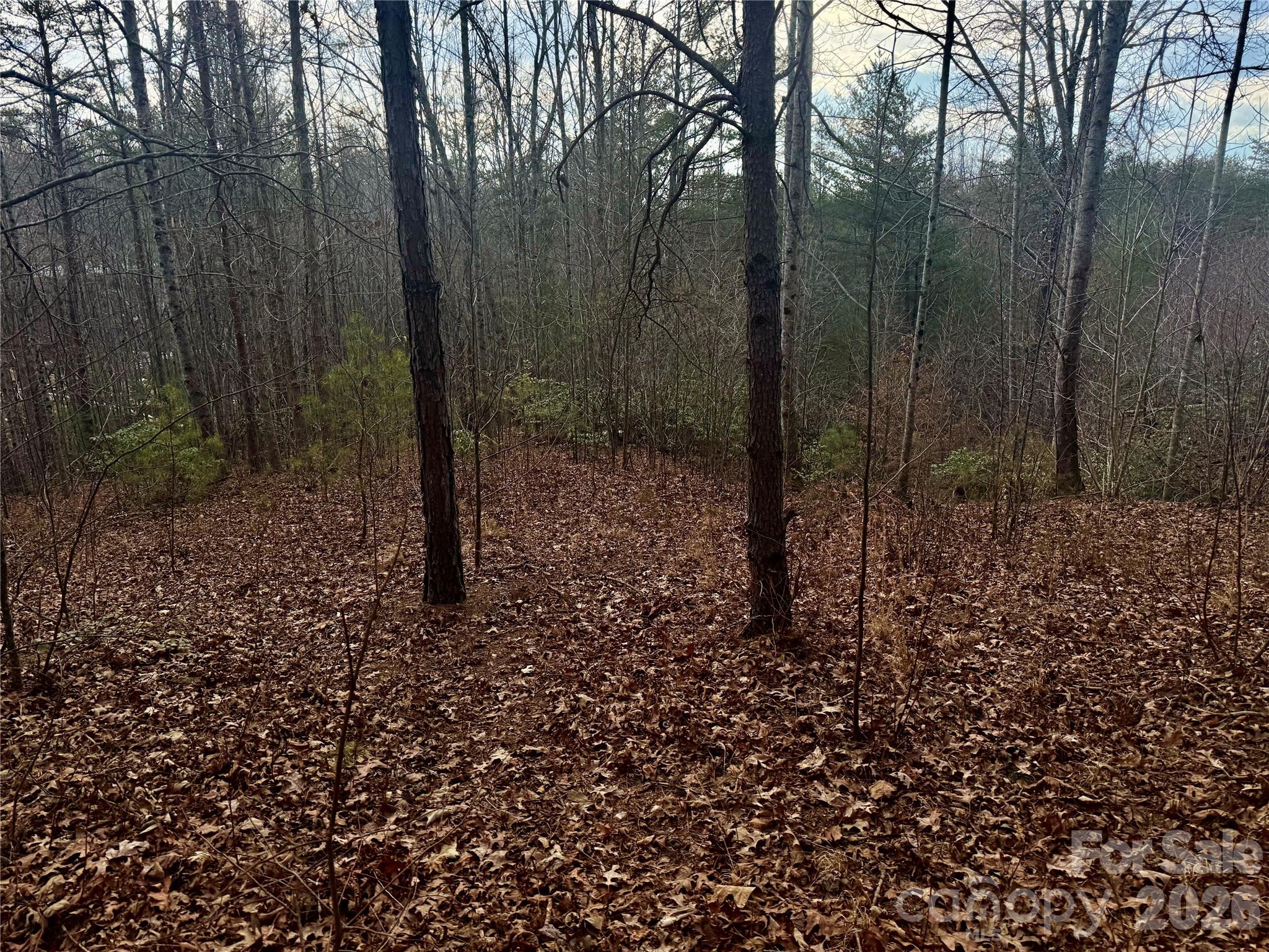 The Coves Mountain River Club - Land