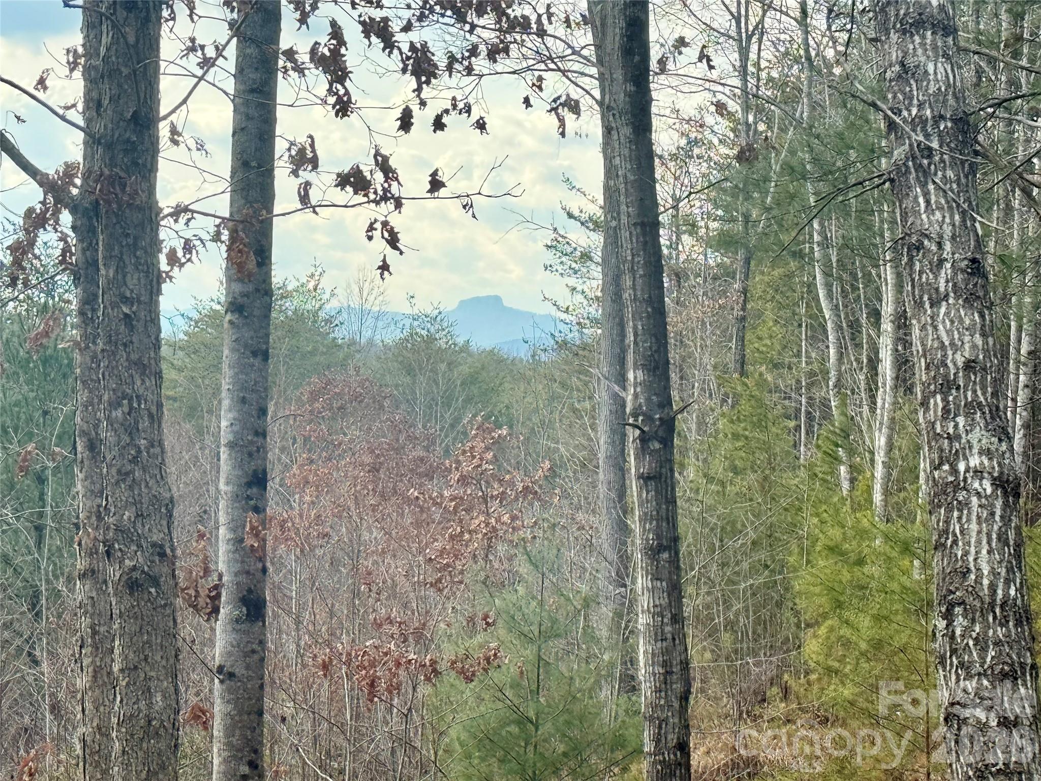 The Coves Mountain River Club - Land