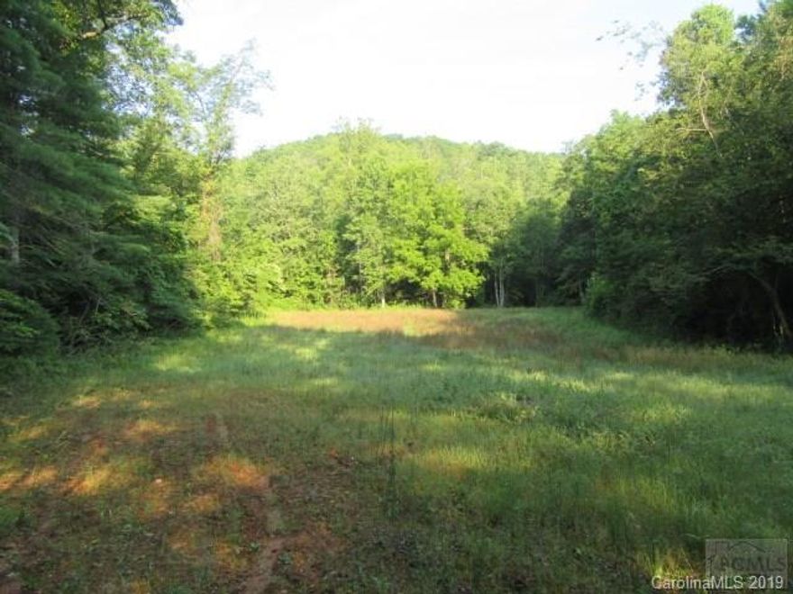 120 acres of remarkable land, minutes from downtown Morganton! Beautiful Stacy Creek runs through the heart of the land, which features grassy fields, rich bottom land, and numerous hardwoods. Suitable uses include farming, hunting, orchards or vineyards, timber, and more! Property already has a road cut in for easy access, and possible building sites are abundant. Almost 300 feet of road frontage on Enola Rd. Must see this gorgeous property to appreciate all it has to offer!