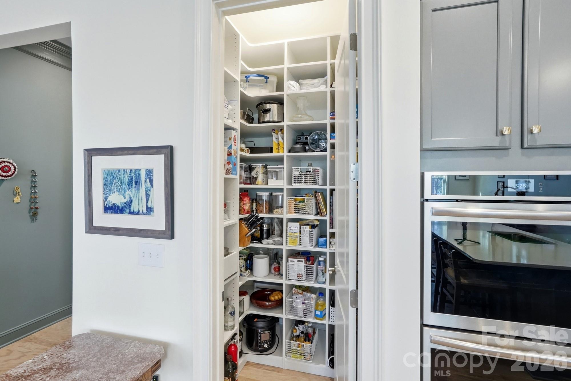 Imagery On Mtn Island - Residential