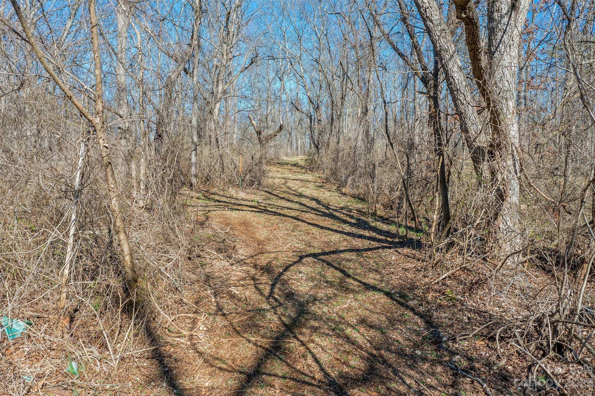 815 Emma Road