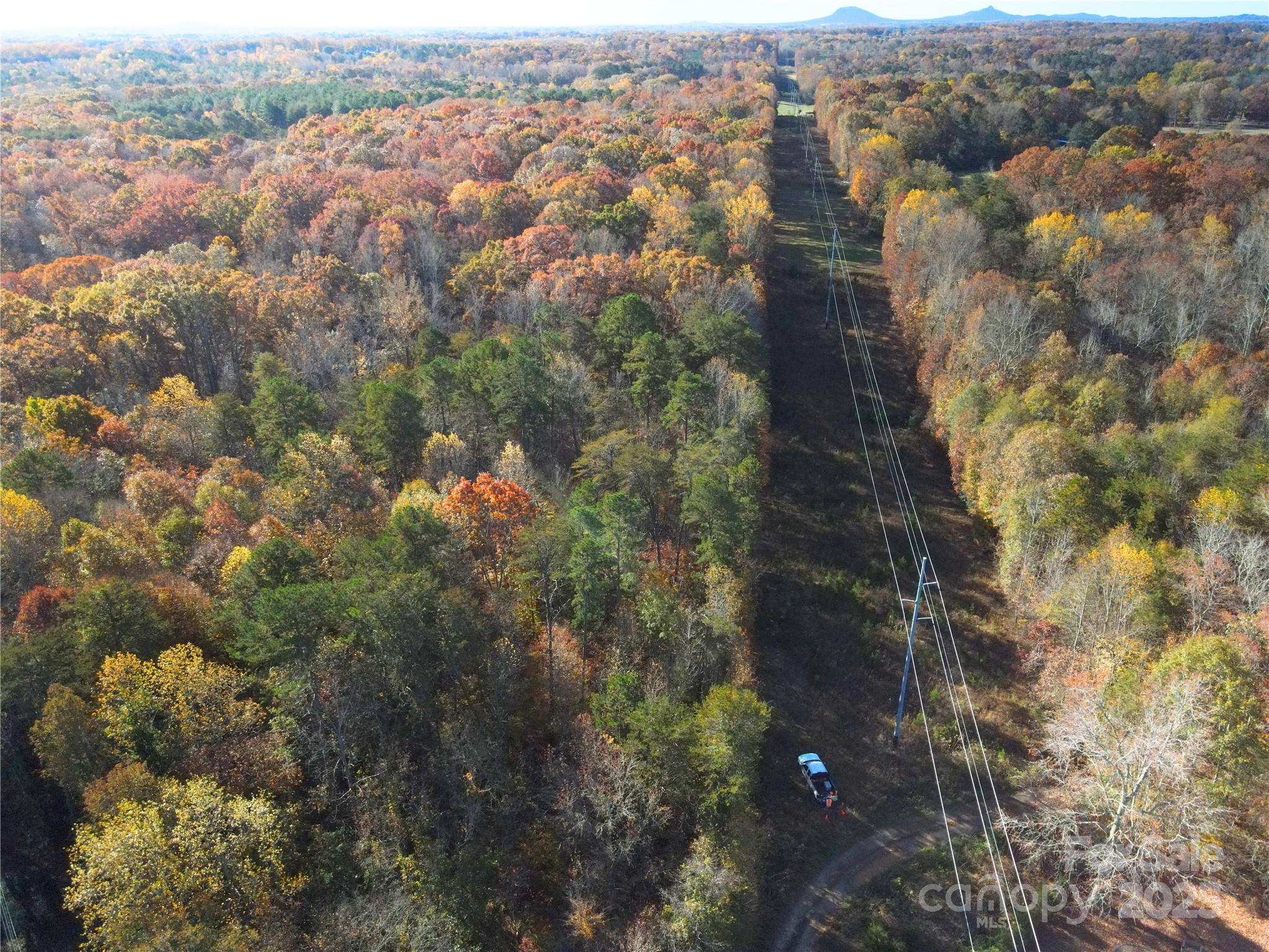 #0 Adrians Forest Drive