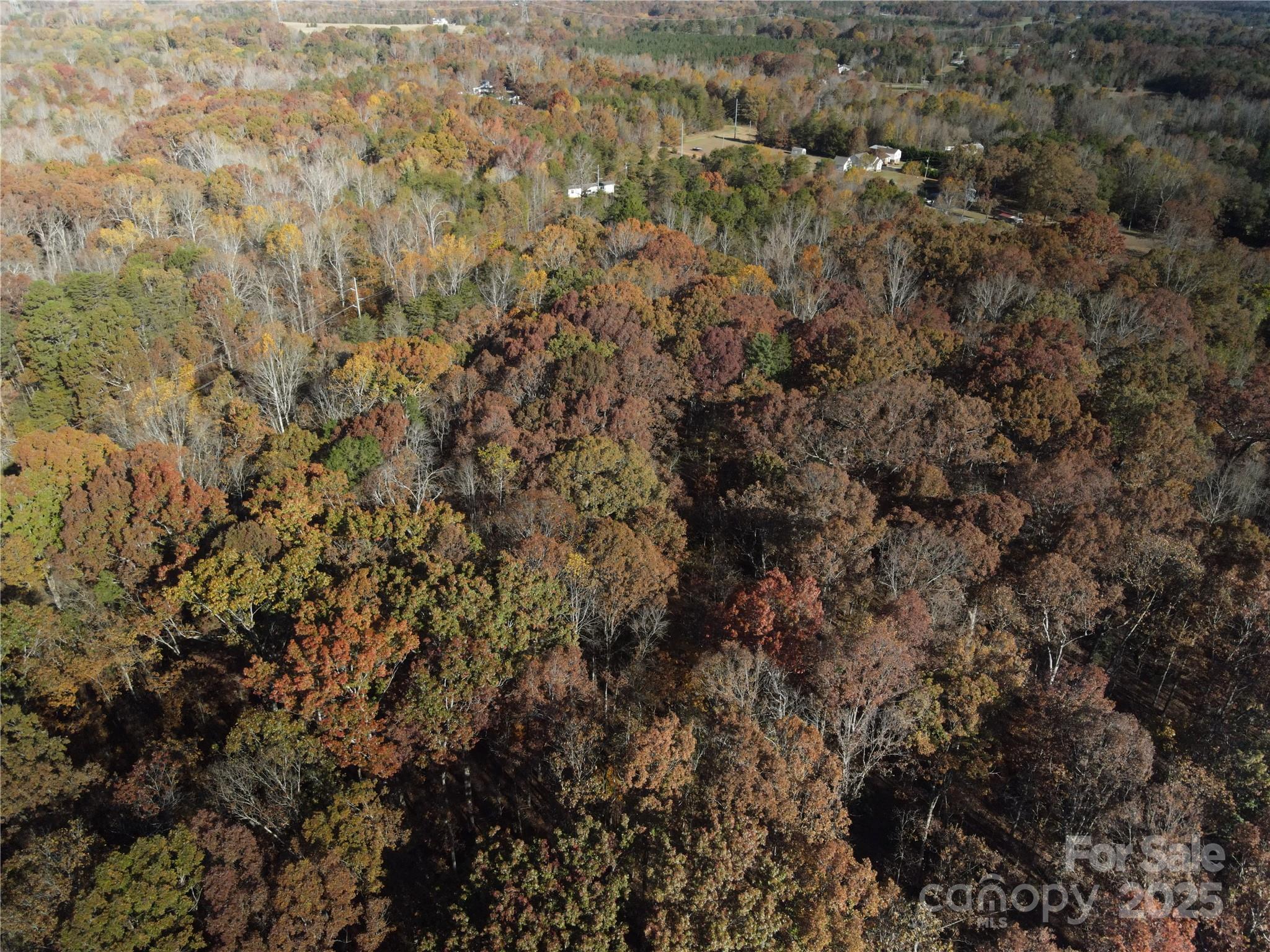 #0 Adrians Forest Drive