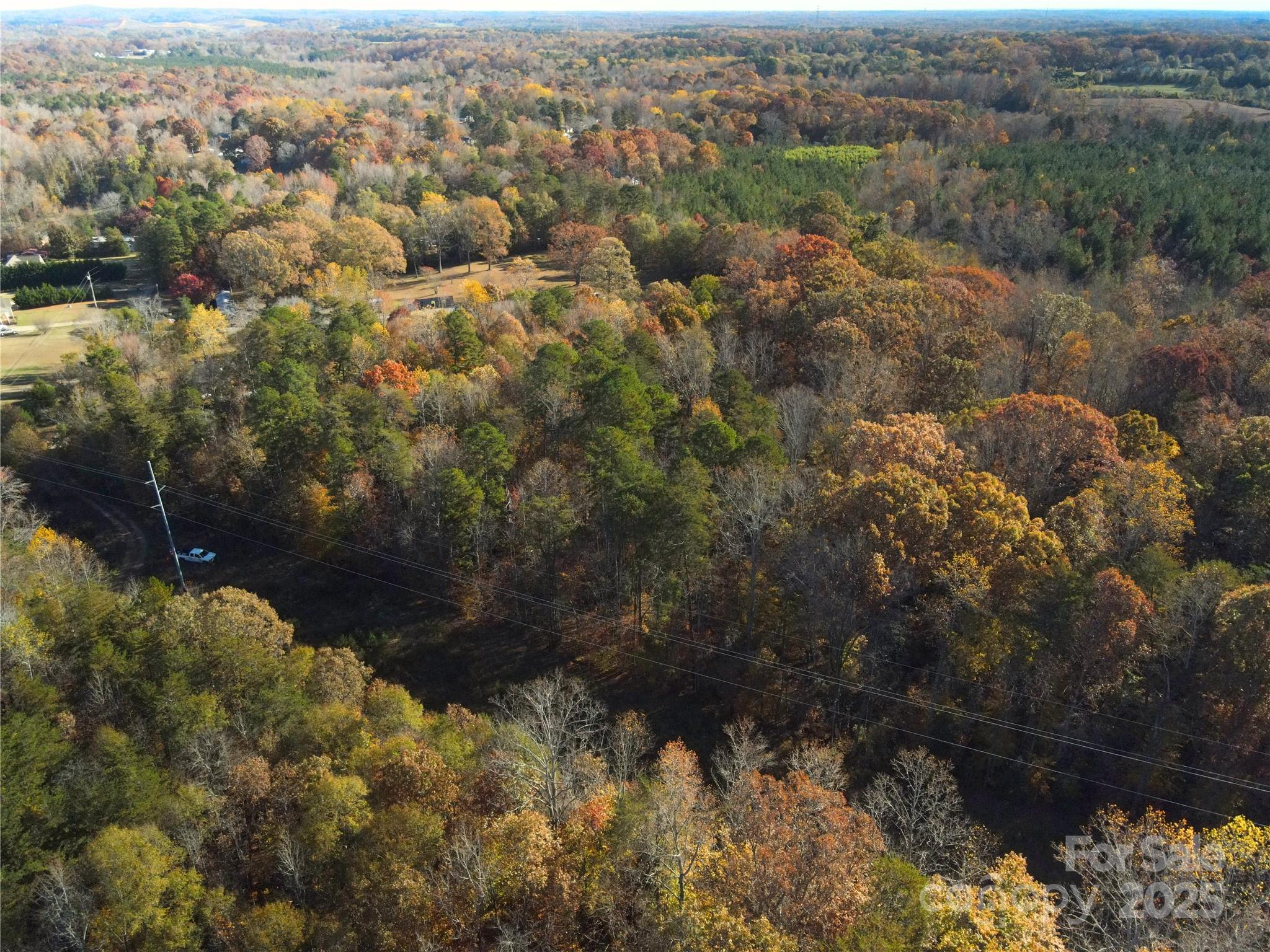 #0 Adrians Forest Drive