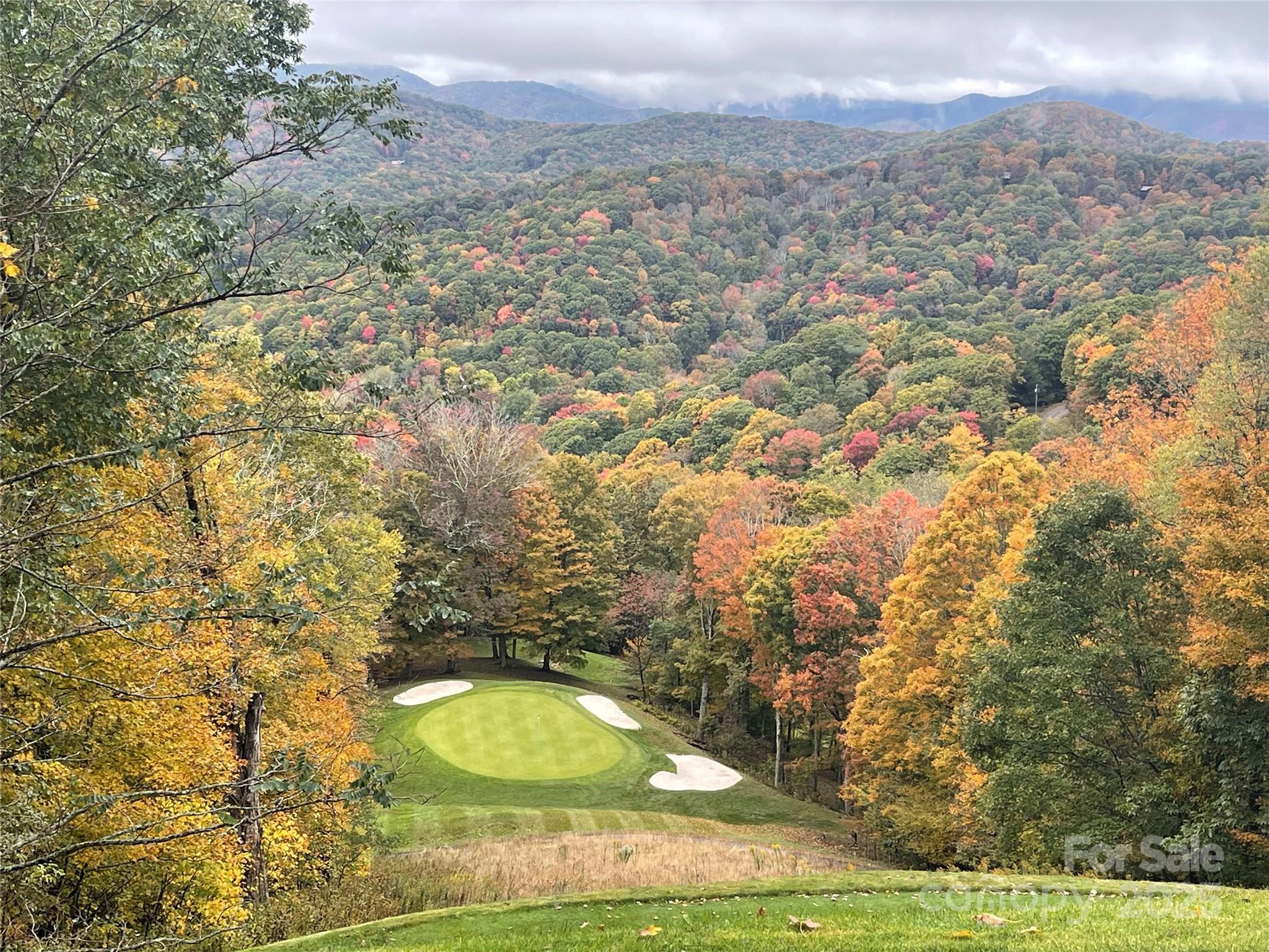 Wolf Laurel - Residential