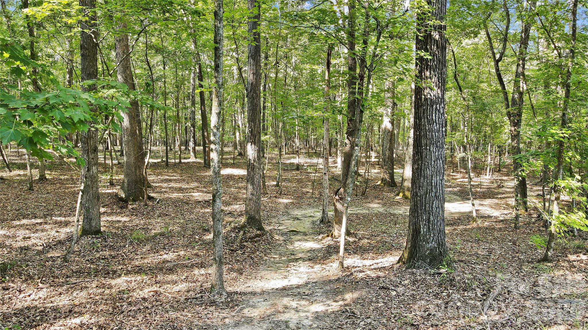 Lot 2 Indian Trail Fairview Road
