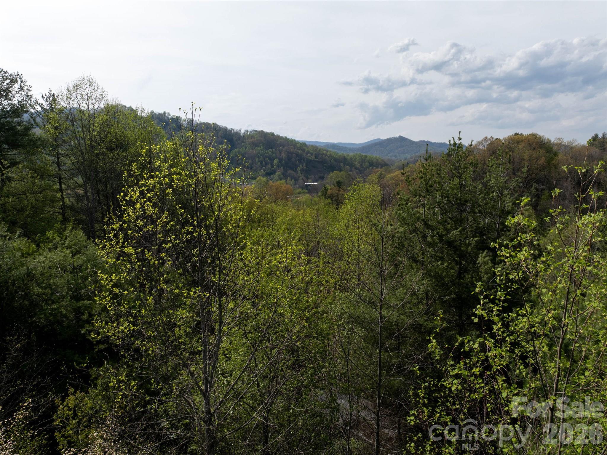 Hyder Mountain Acres - Land