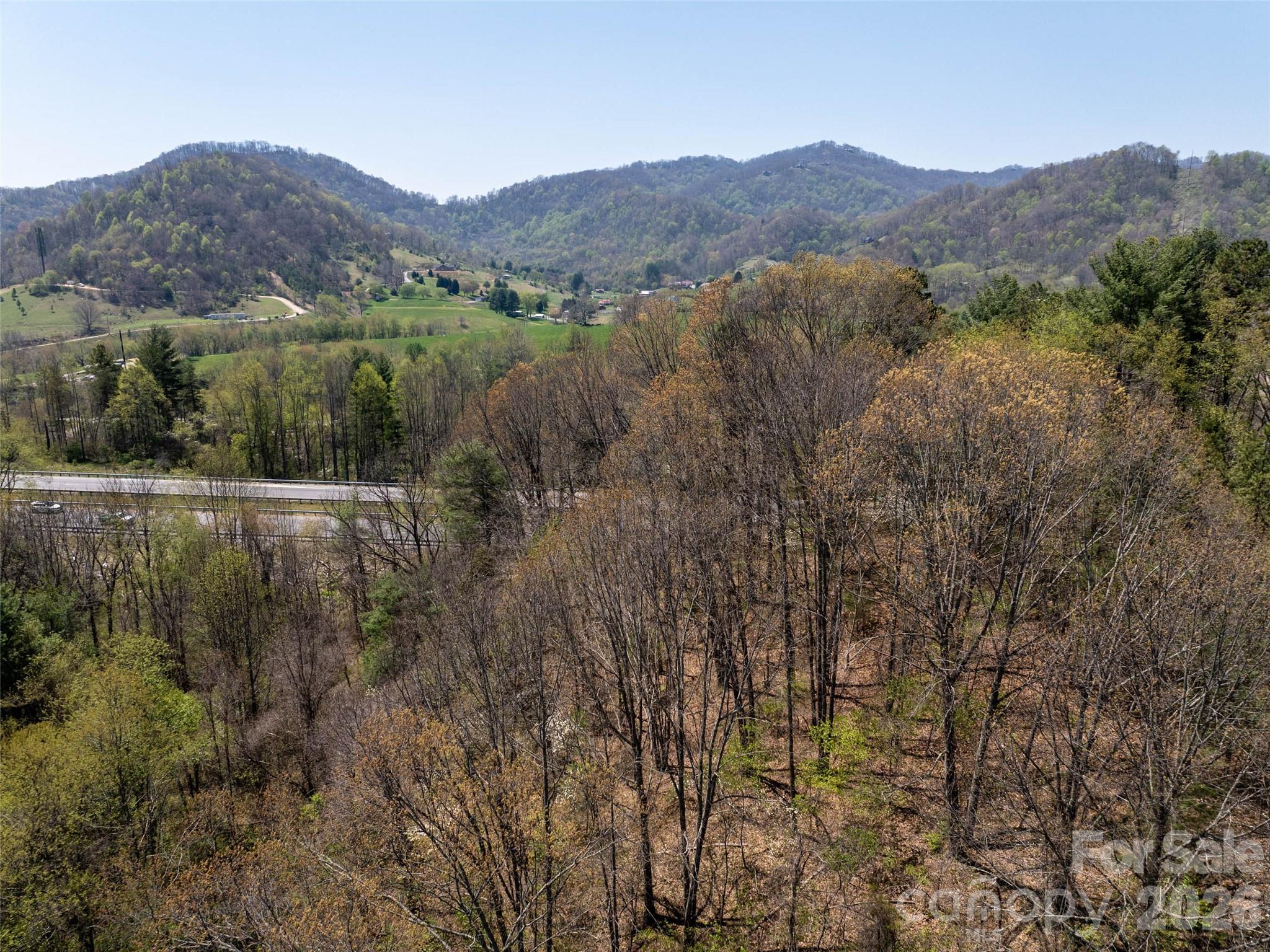 Hyder Mountain Acres - Land