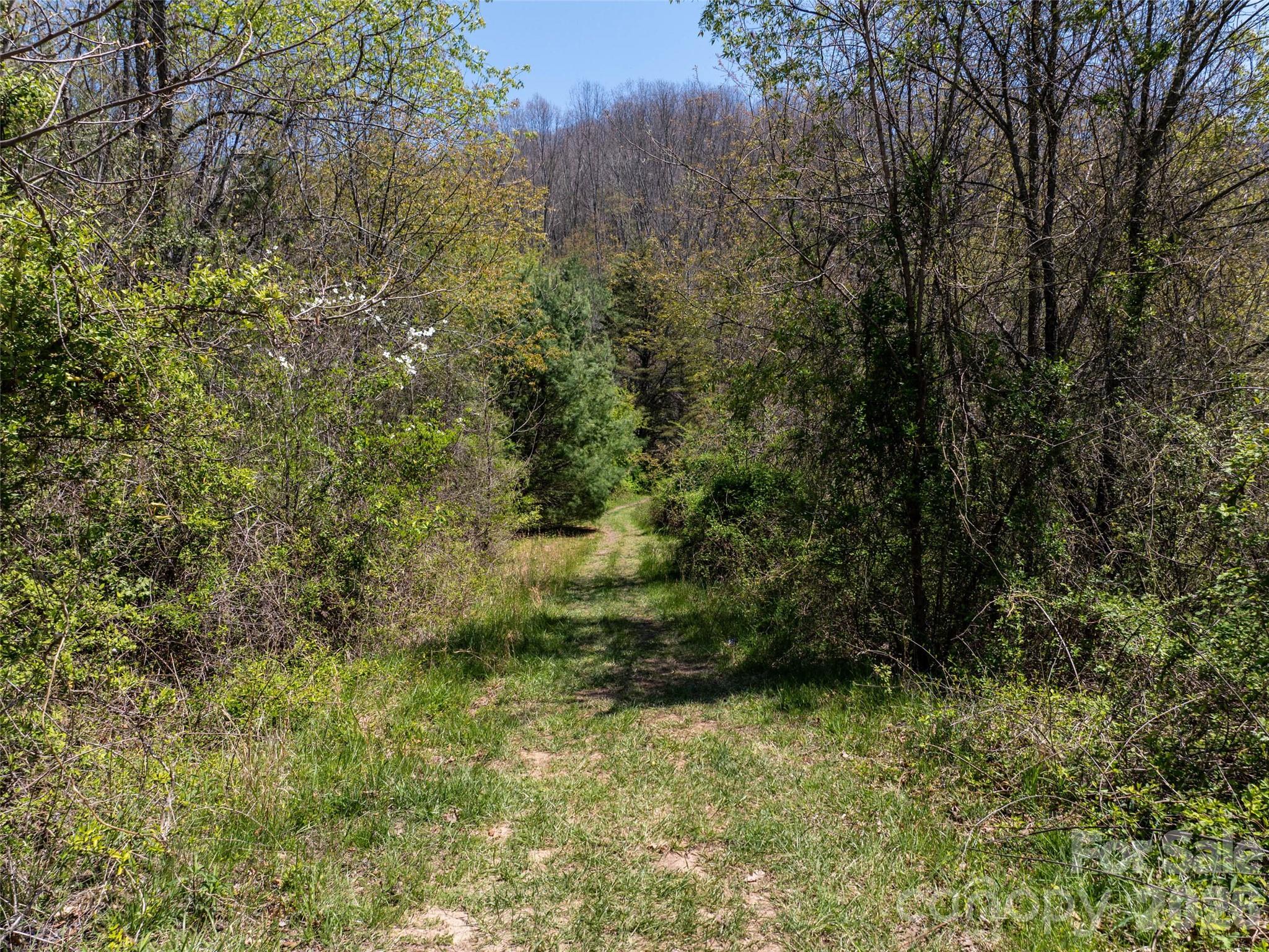 Lot 43 Sunnybrook Trail