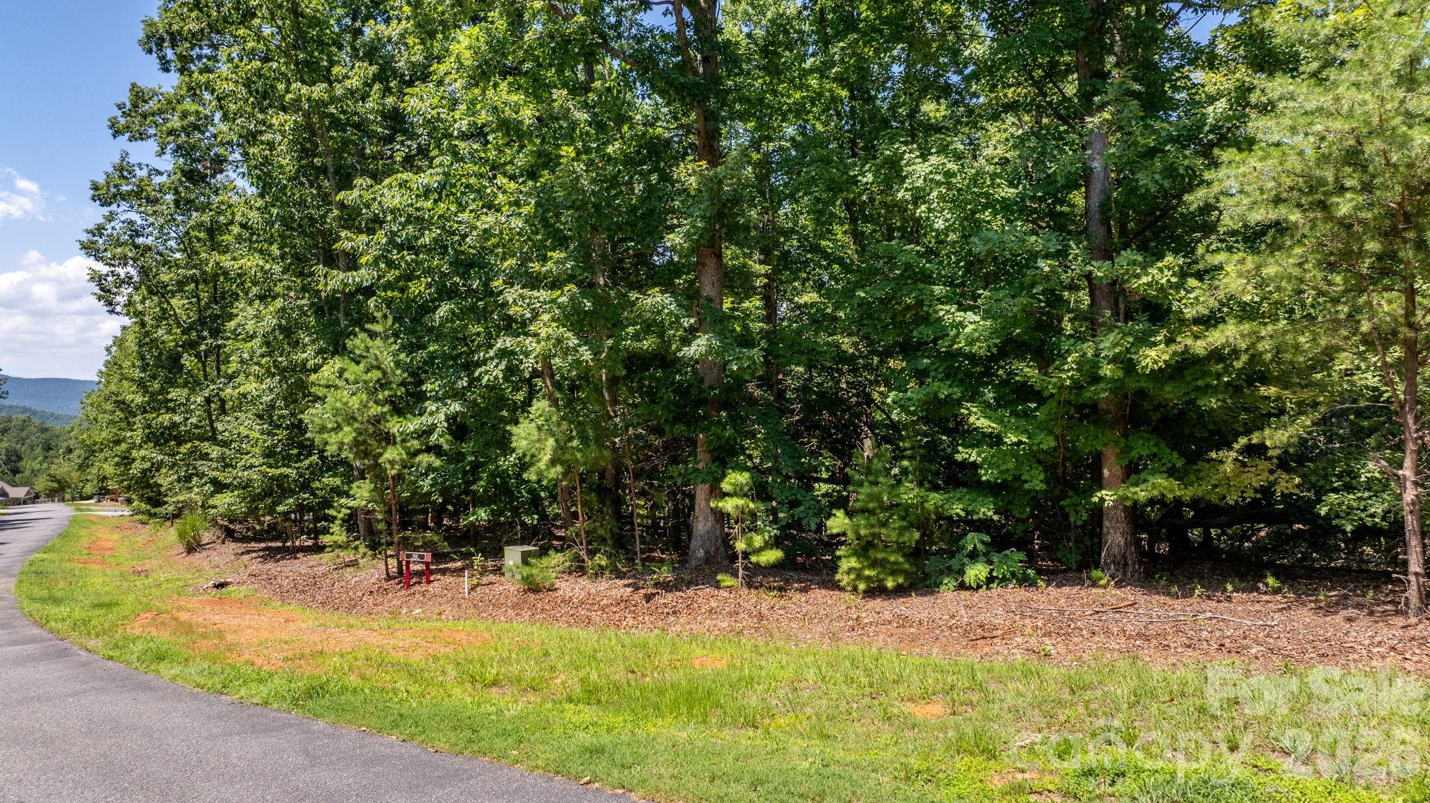 152 Woodgate Trail 95