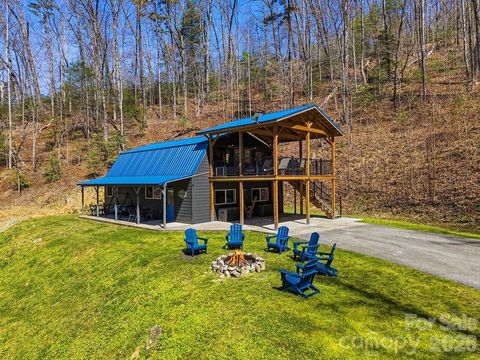 3138 Buffalo Creek Road Lake Lure NC 28746