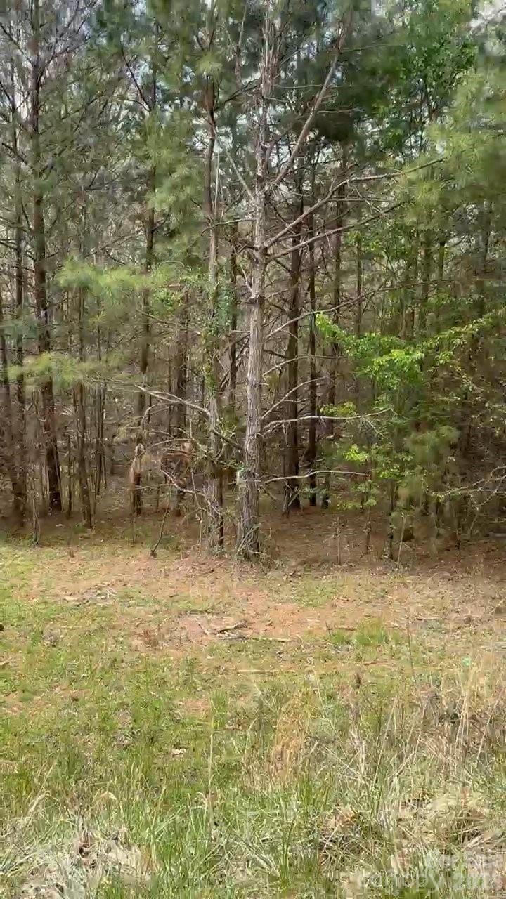 117 Church View Drive, Lawndale, NC, 28090