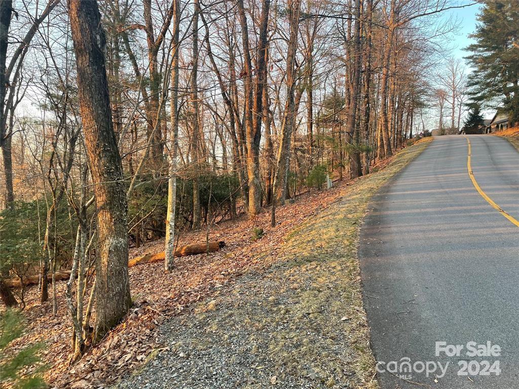 TBD Connestee Trail