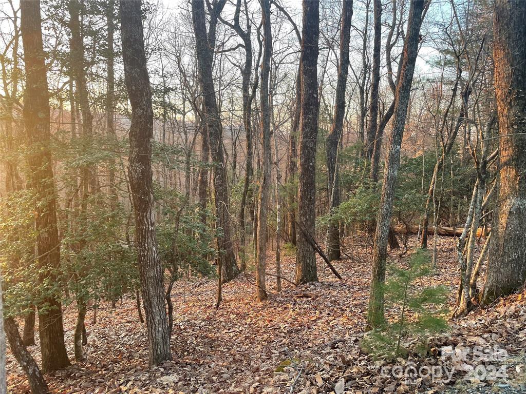 TBD Connestee Trail