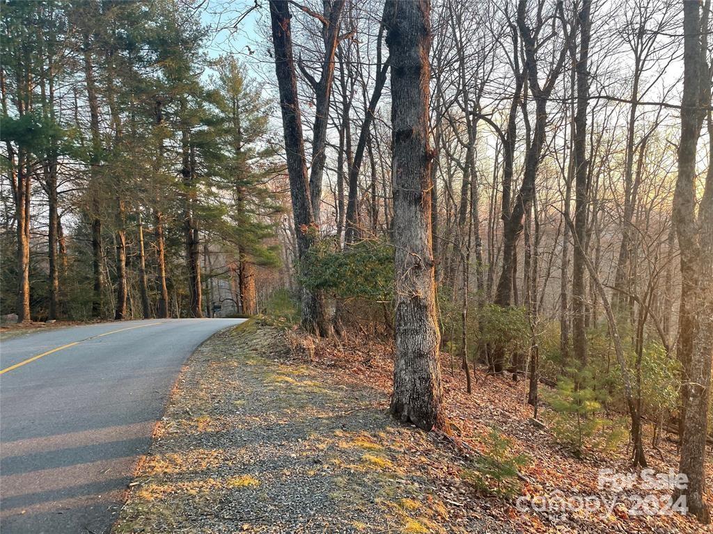 TBD Connestee Trail