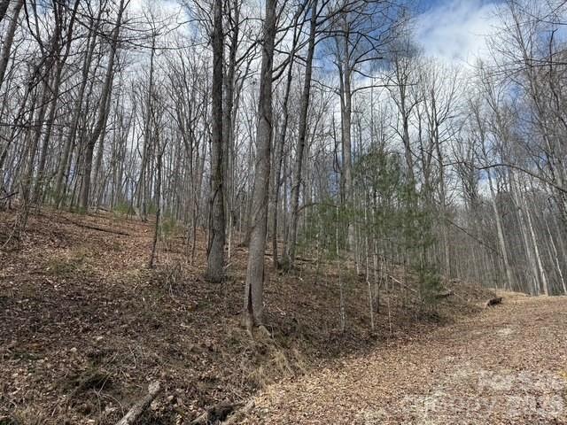 Champion Hills - Land