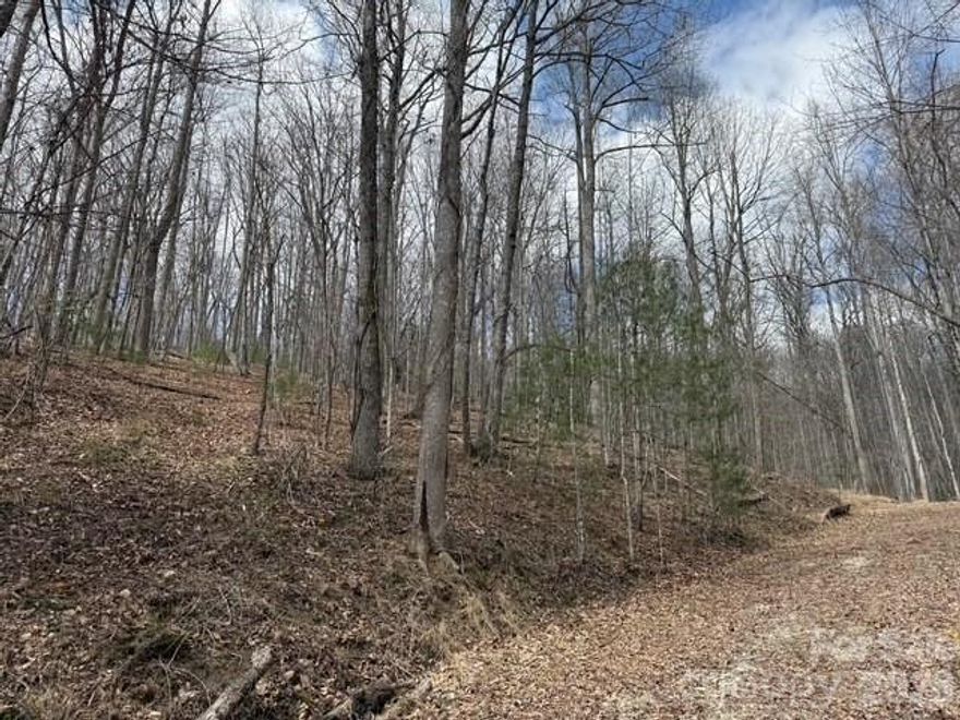 Private upgrade home site that offers South facing winter mountain views.  Long threshold driveway entrance provides a peaceful sense of arrival bordered by a stream.  There is currently an approved site plan and building envelope ready to go with Champion Hills.  Approved Architectural plans can be purchased separately.