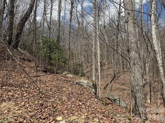 158 Chattooga Run 402