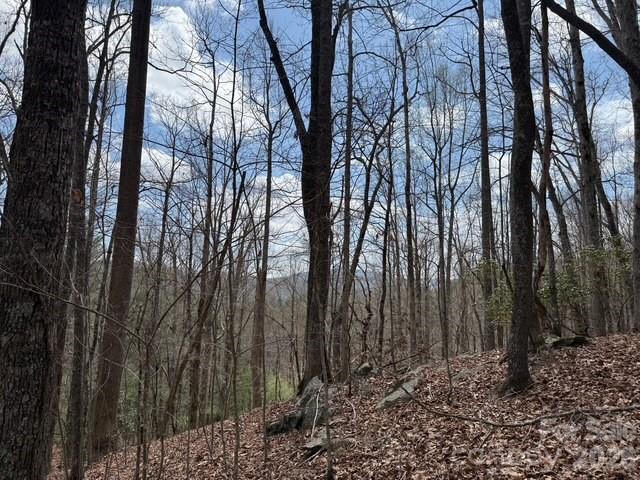 158 Chattooga Run 402