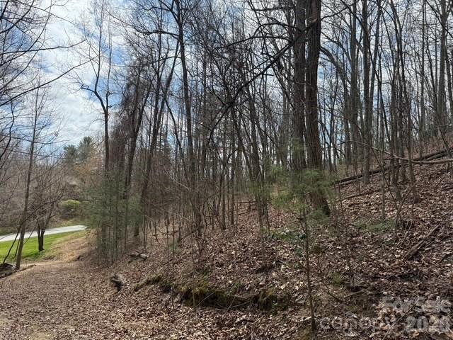 Champion Hills - Land