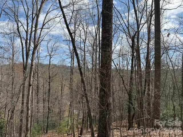 158 Chattooga Run 402