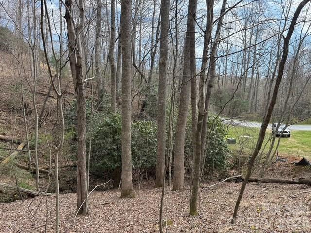 Champion Hills - Land