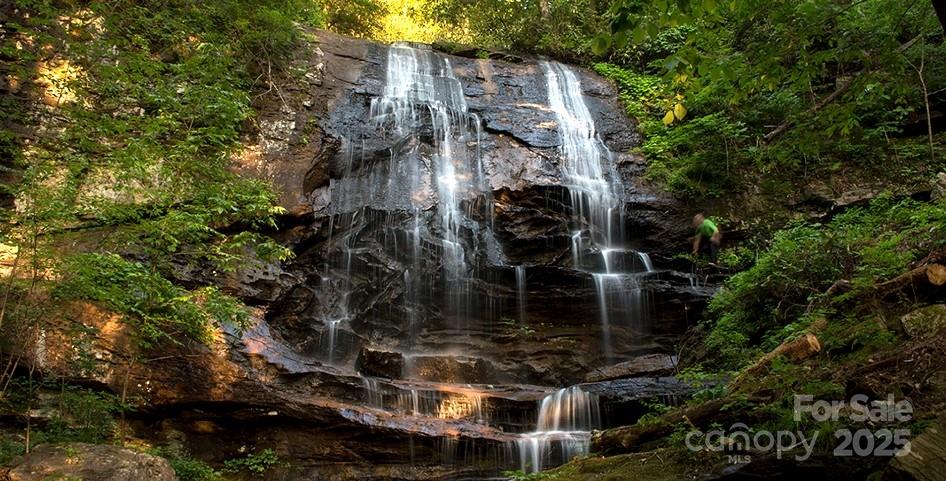 New Forest Mountain - Land