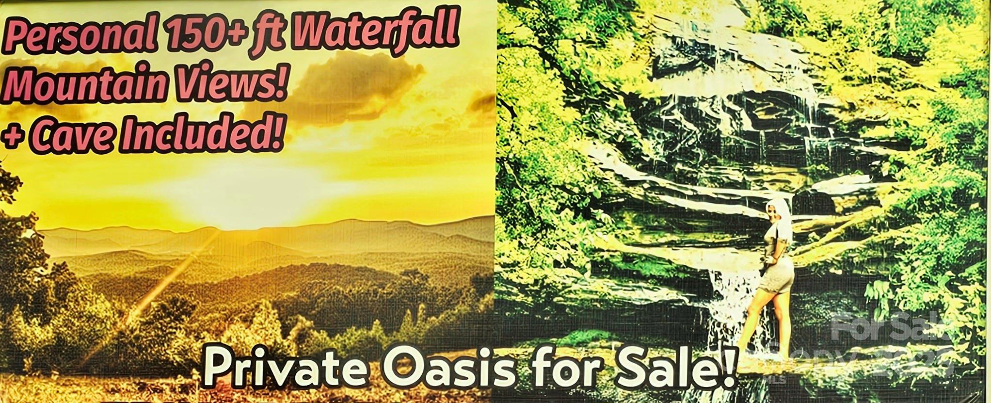 New Forest Mountain - Land