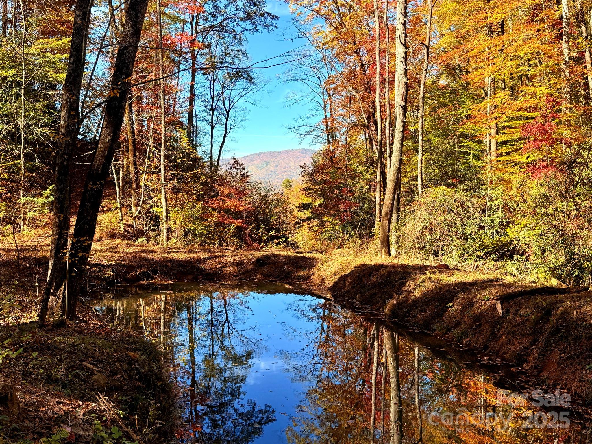 +/-17.73 Acres The Falls Road