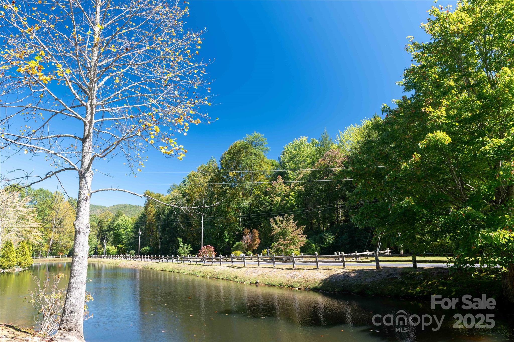 Mount Mitchell Lands - Land