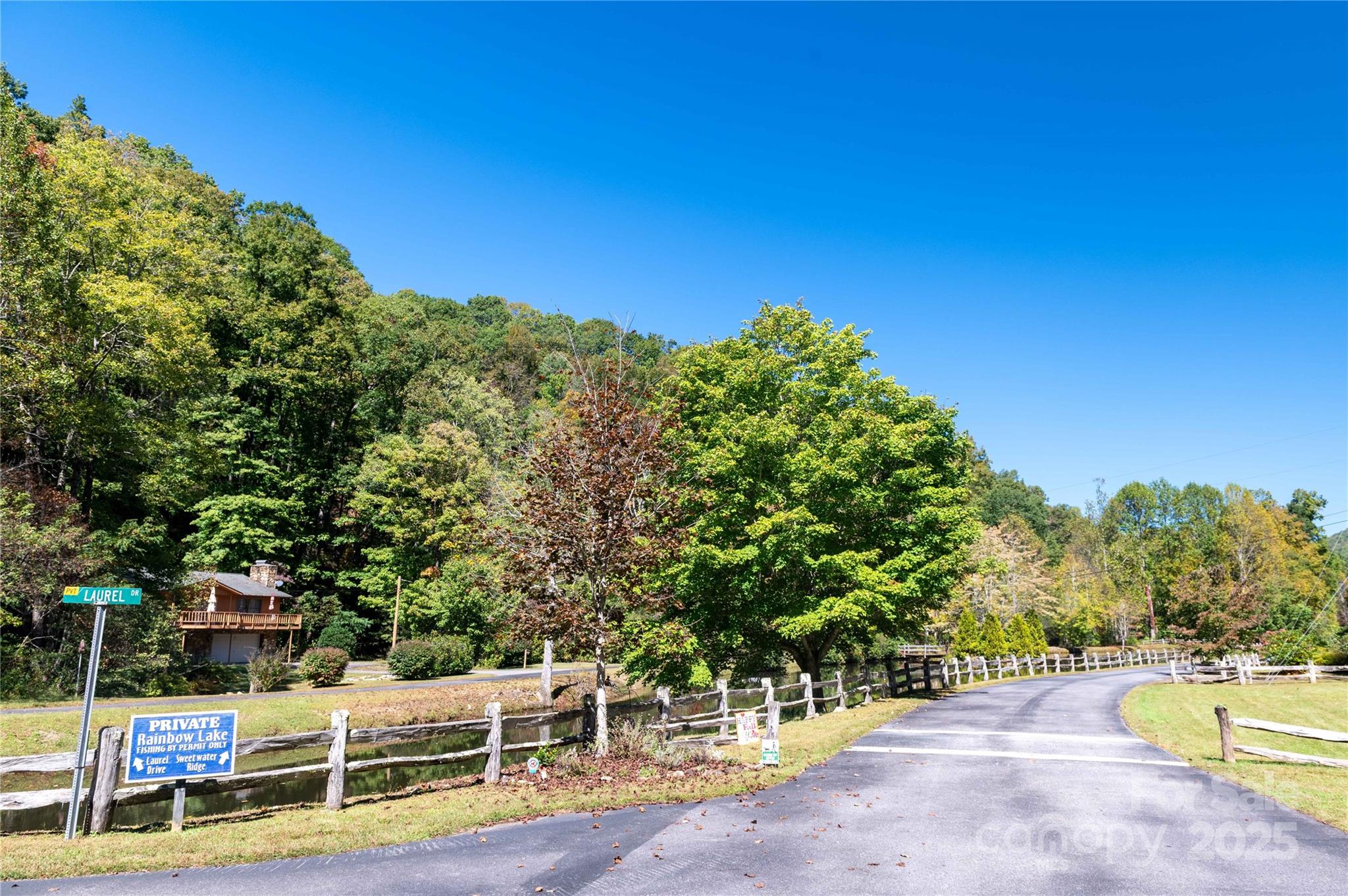 Mount Mitchell Lands - Land