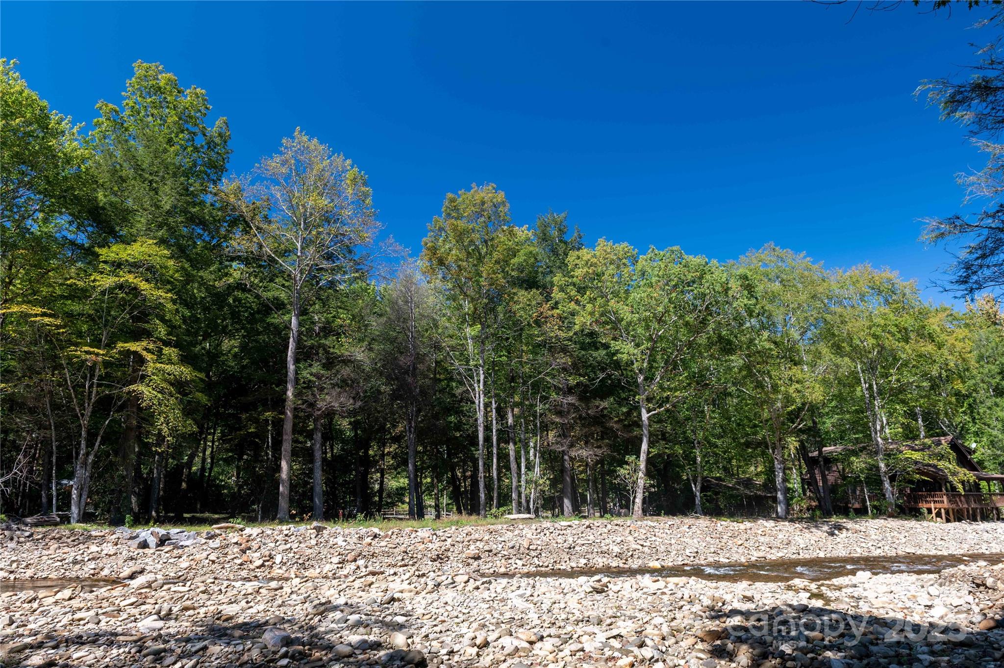 Mount Mitchell Lands - Land