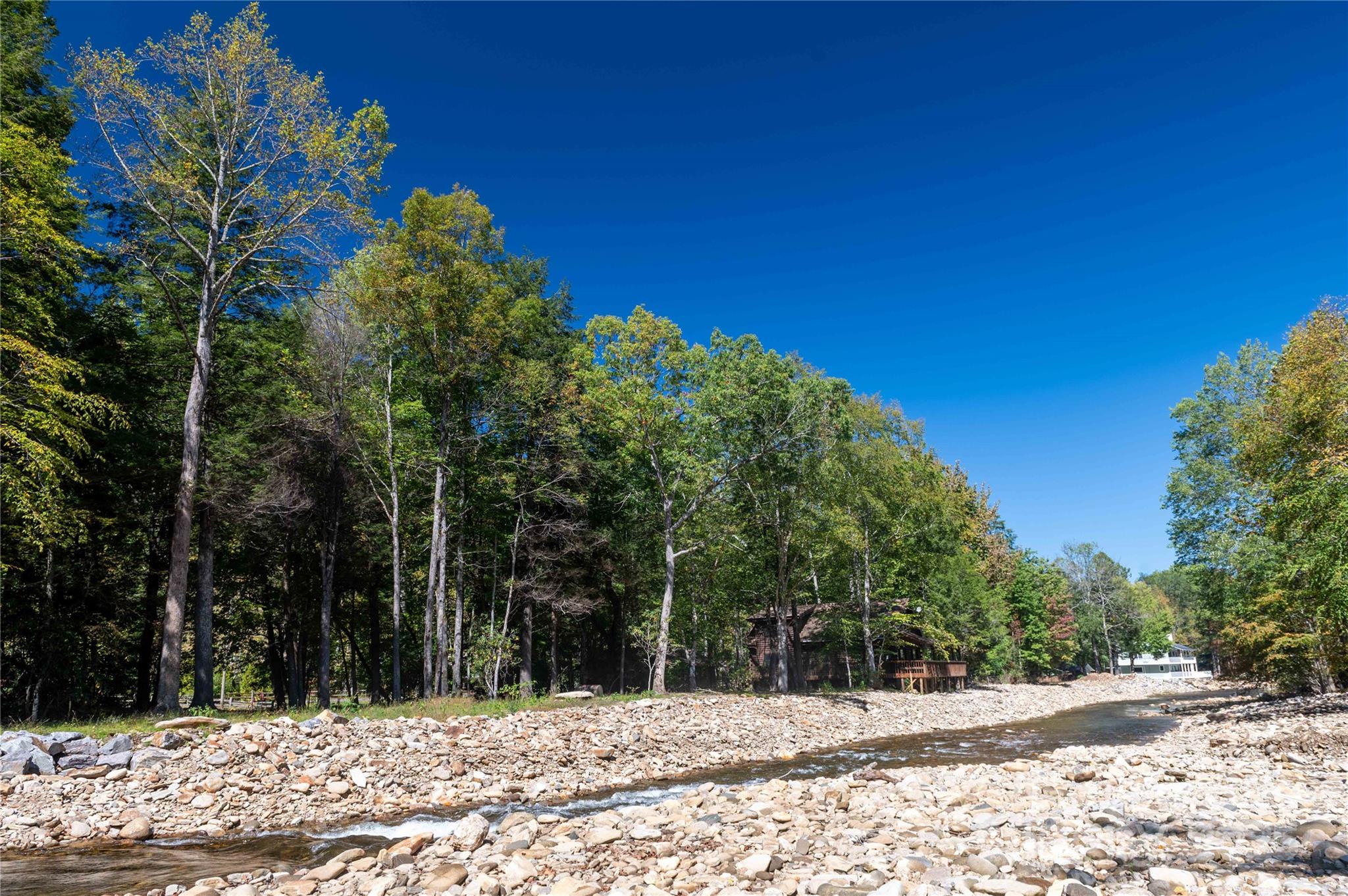 Mount Mitchell Lands - Land