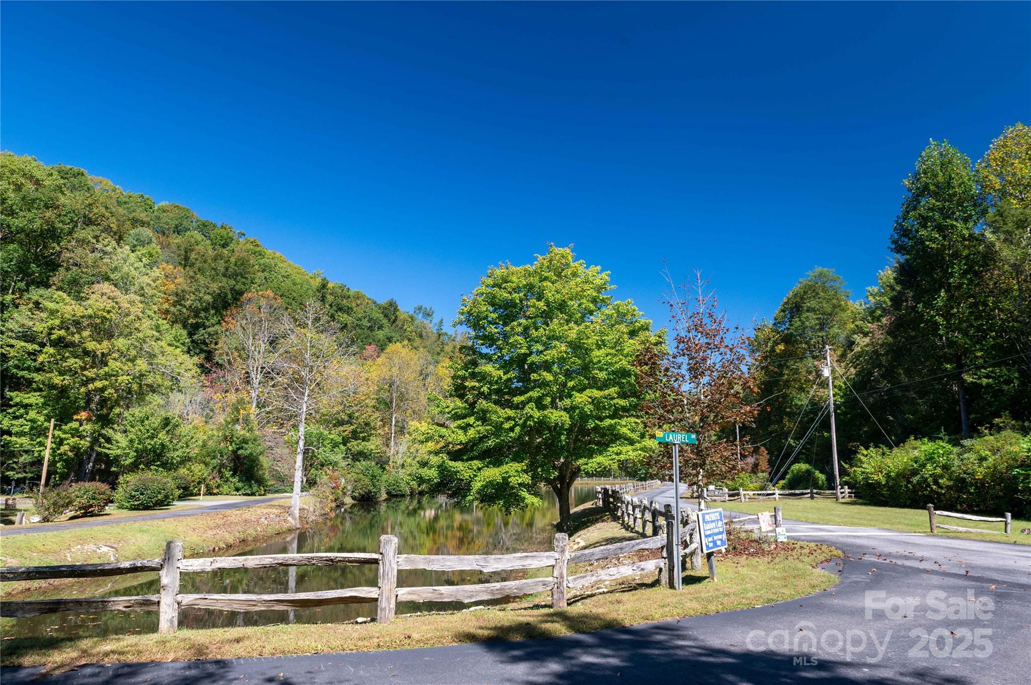 Mount Mitchell Lands - Land