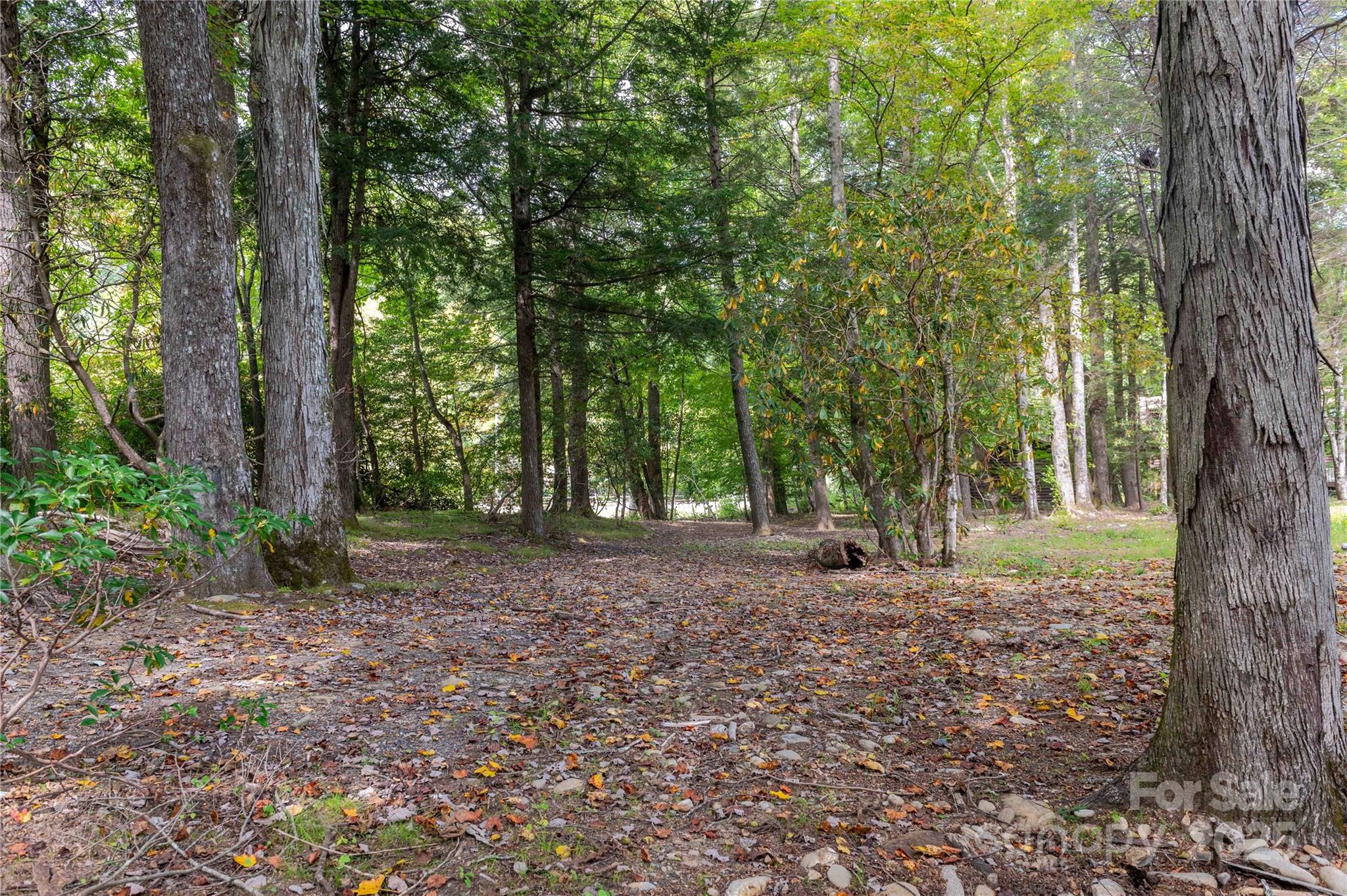 Mount Mitchell Lands - Land