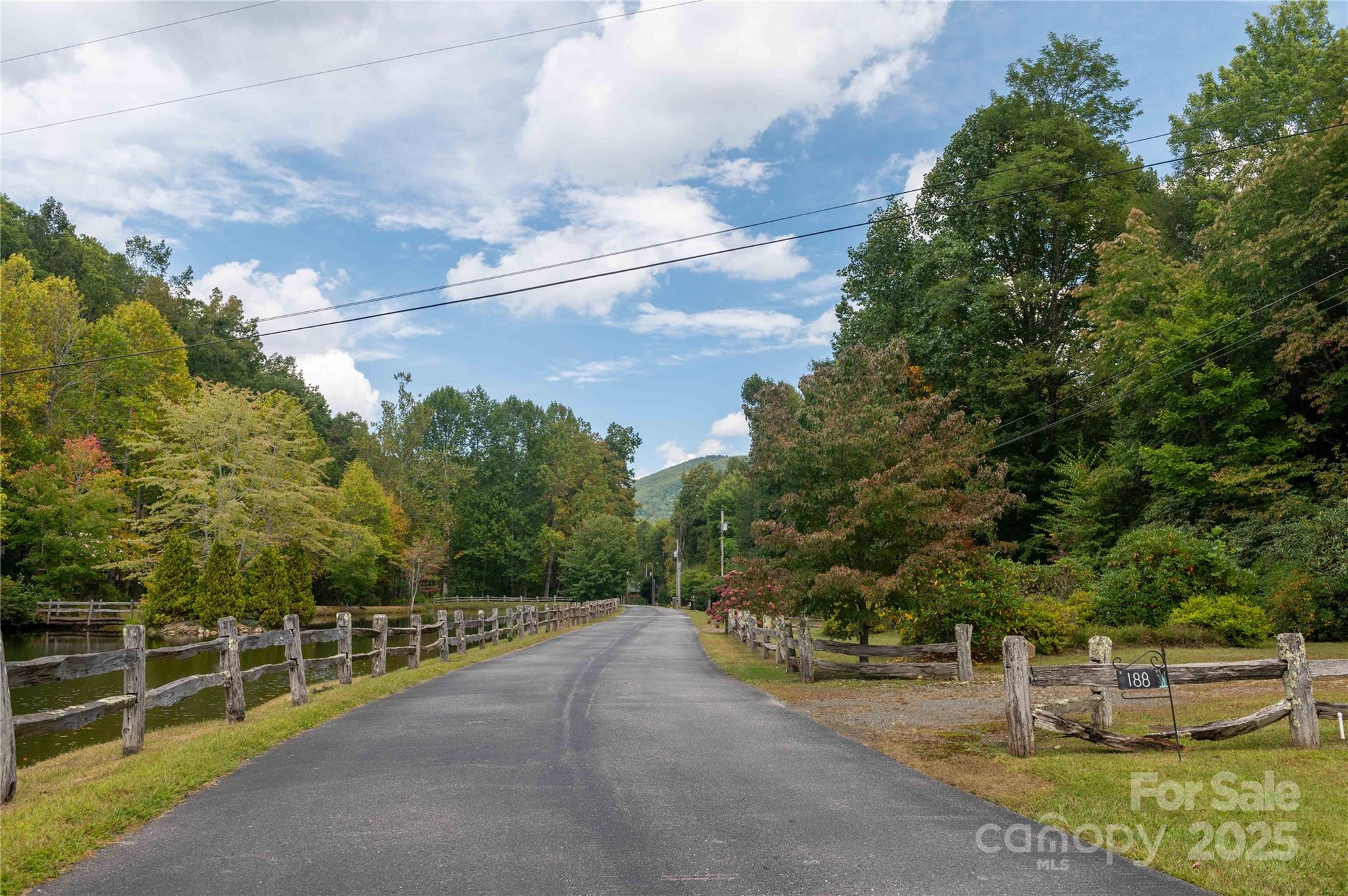 Mount Mitchell Lands - Land