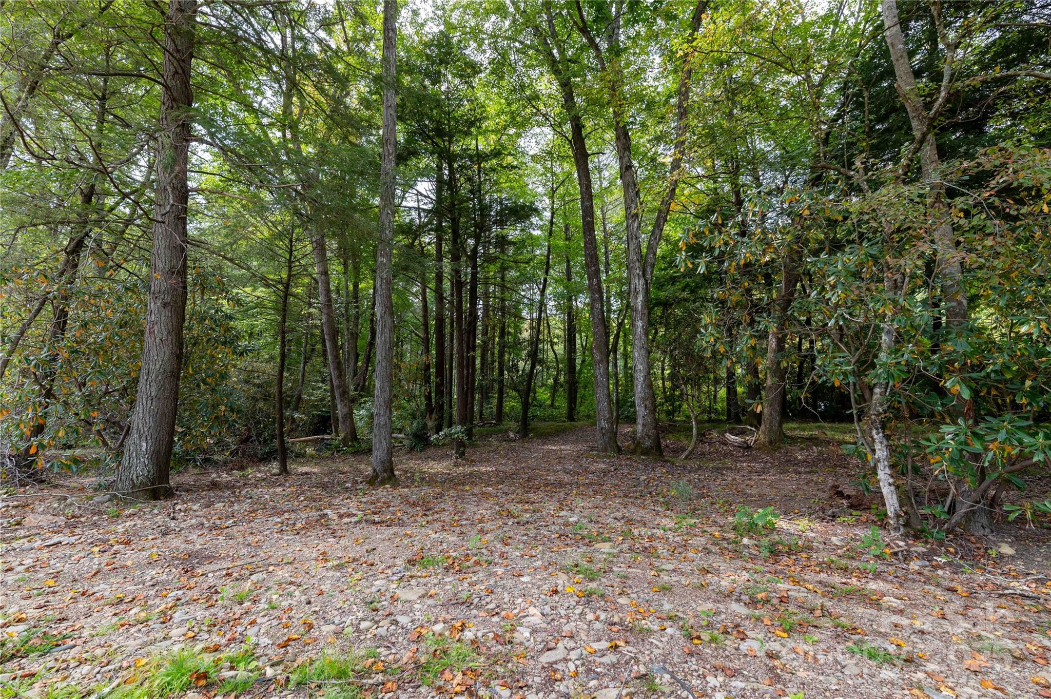 Mount Mitchell Lands - Land