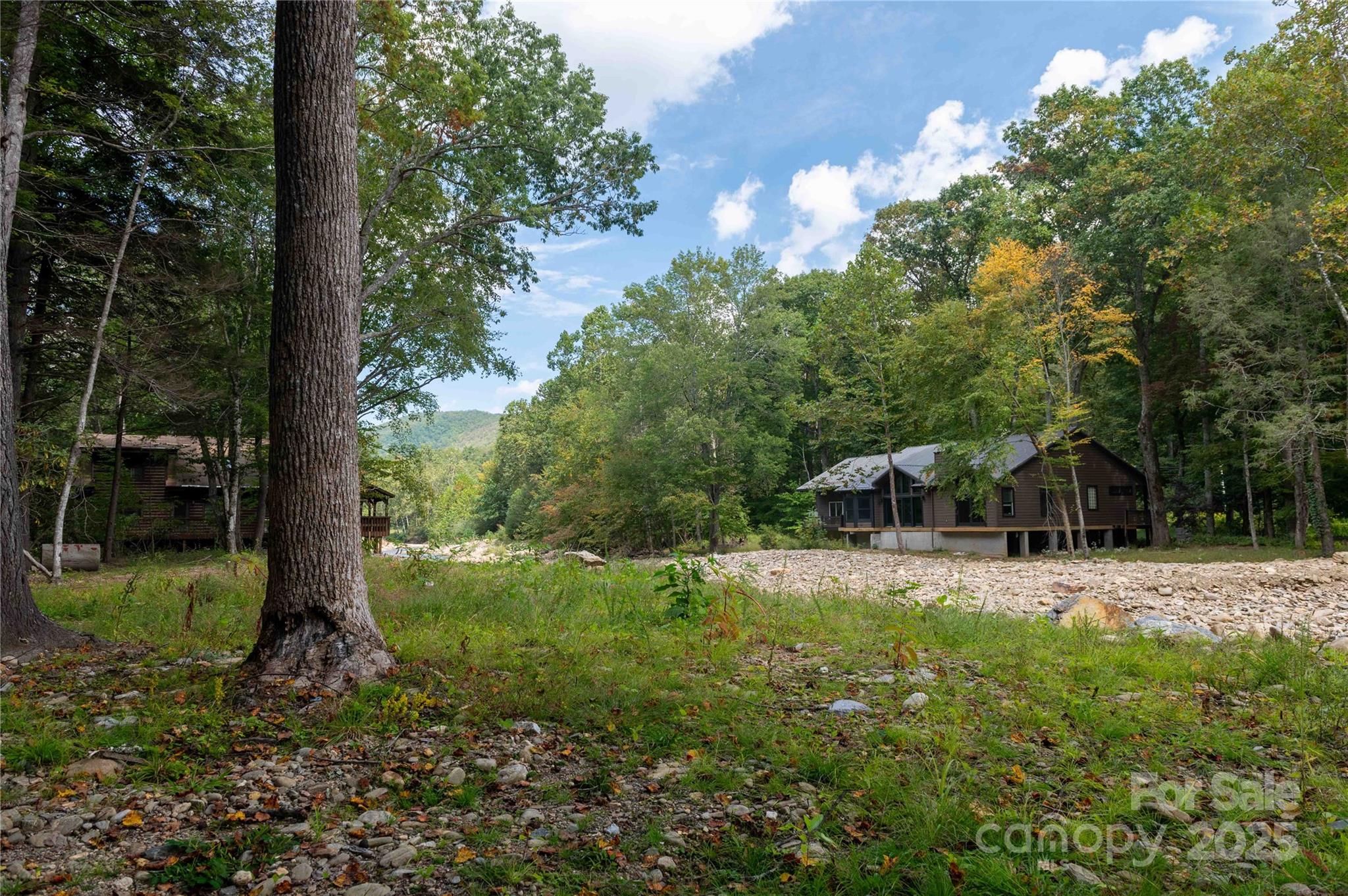 Mount Mitchell Lands - Land