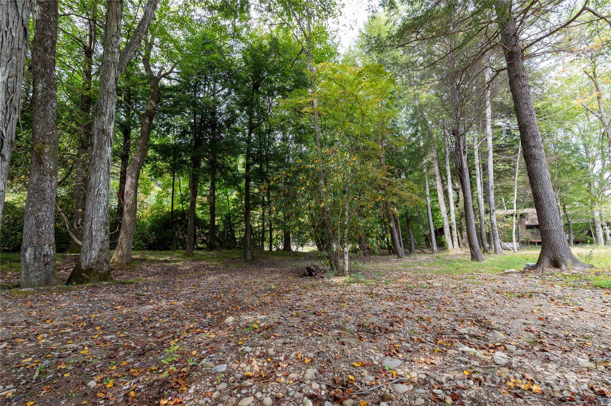 Mount Mitchell Lands - Land