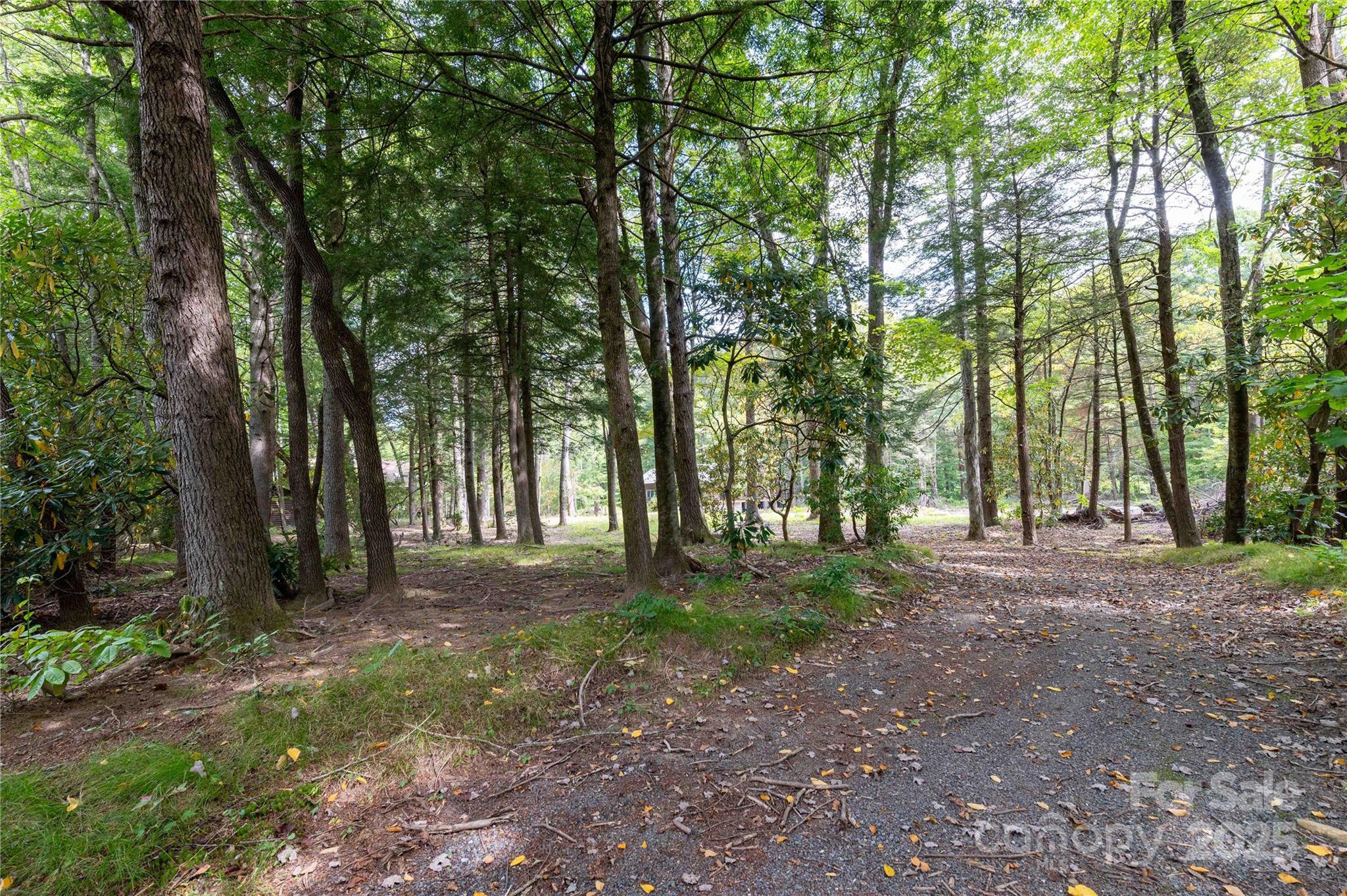 Mount Mitchell Lands - Land