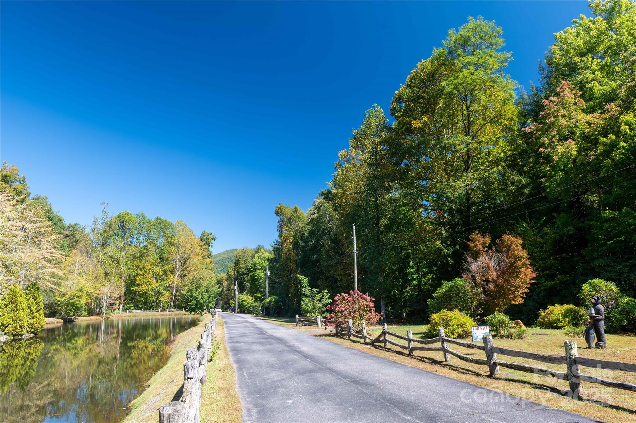 Mount Mitchell Lands - Land