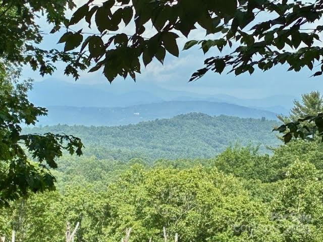 215 Crossvine Trail 11