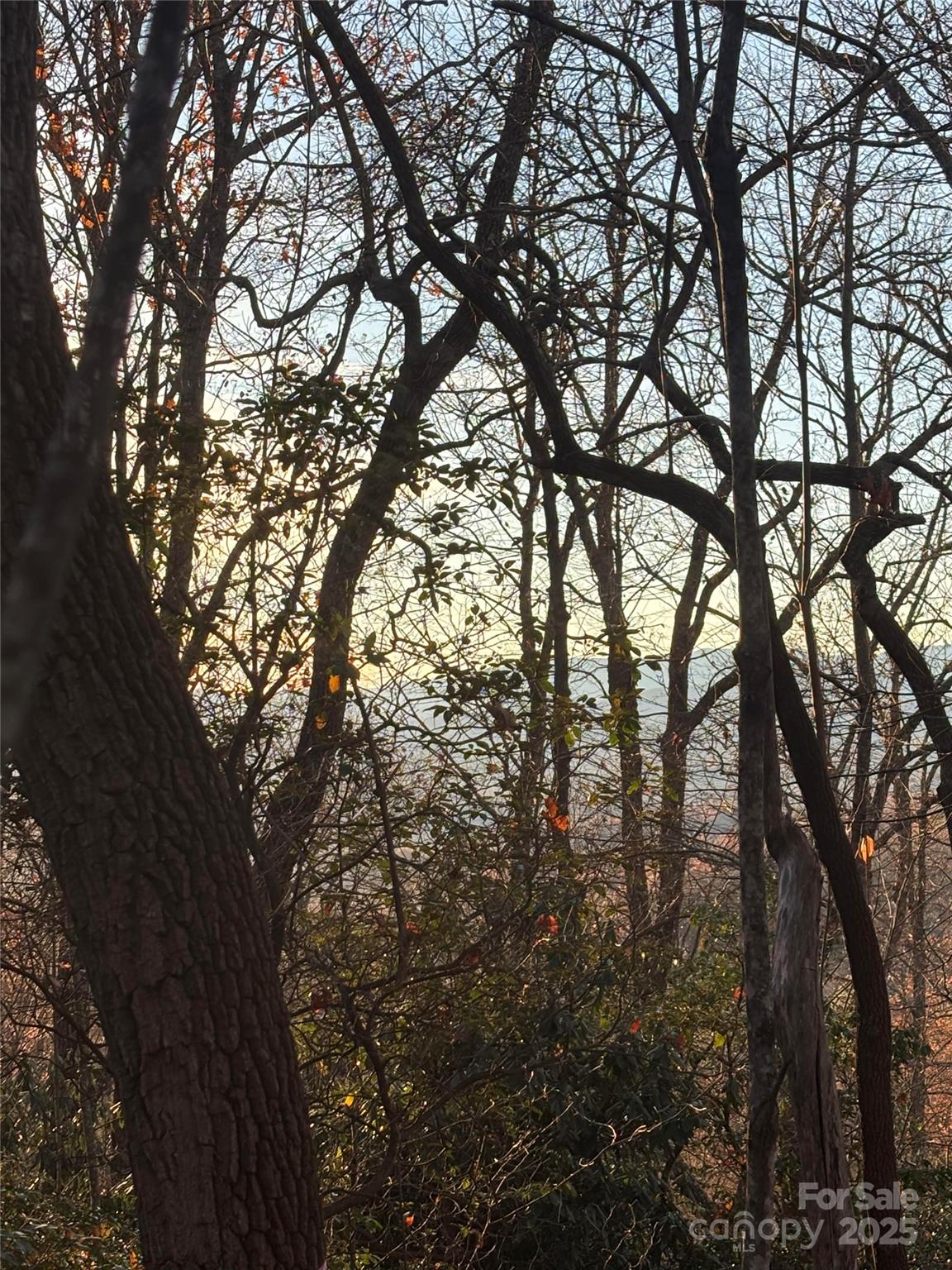 215 Crossvine Trail 11