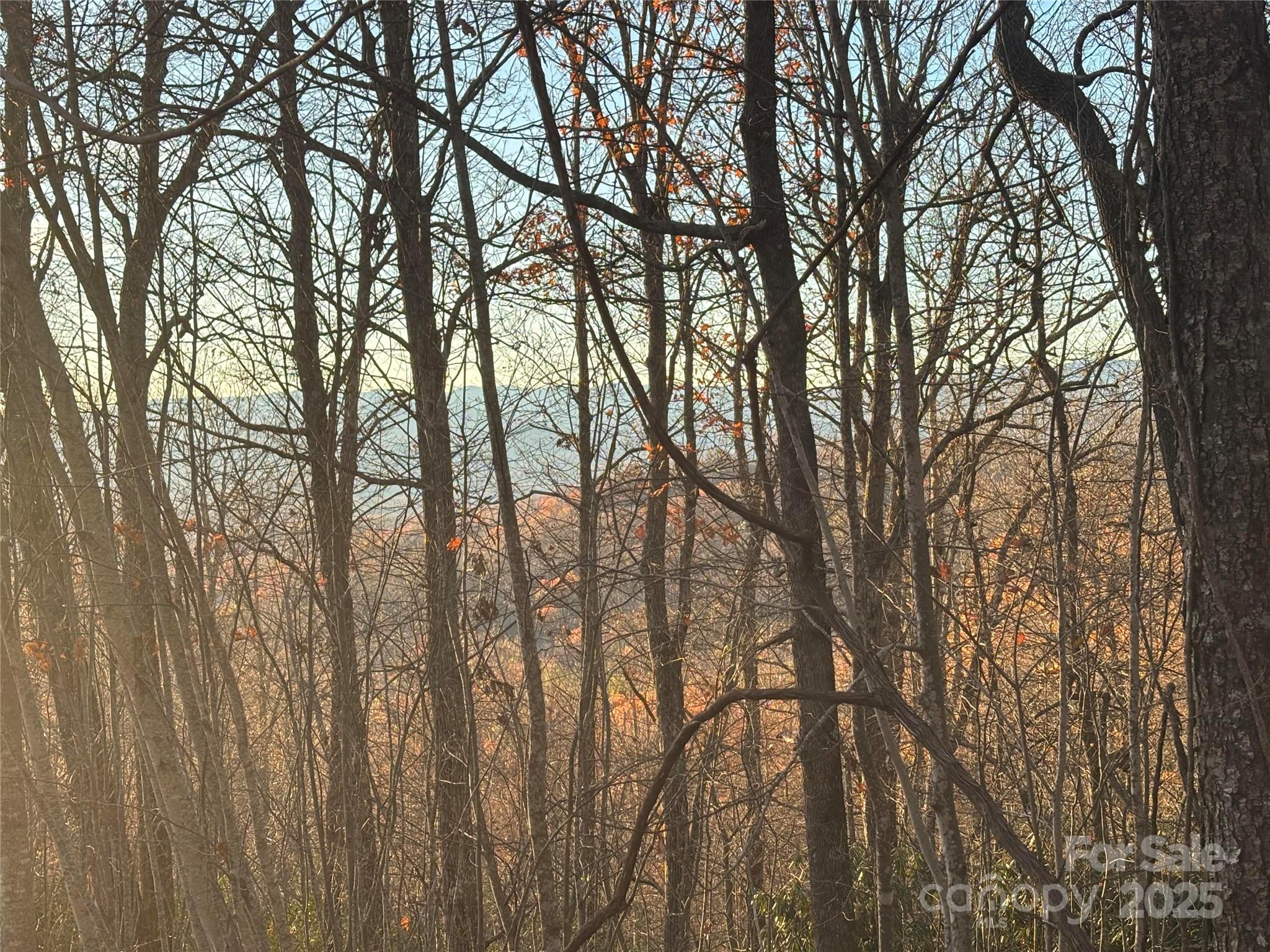 215 Crossvine Trail 11